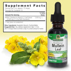Nature's Answer Mullein Herb - Mullein Leaf Extract for Lungs - Alcohol Free, Non GMO, Made in USA - Supports Respiratory Function & Promotes Healthy Lungs - Mullein Leaf 1 Ounce Extract