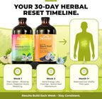 Serene Herbs Soursop Bitters Liquid & Black Seed Bundle – Organic Herbal Guanabana for Digestive Support & Immune Health – Vegan, Non-GMO – 32 oz (16 oz Each), 32 Servings