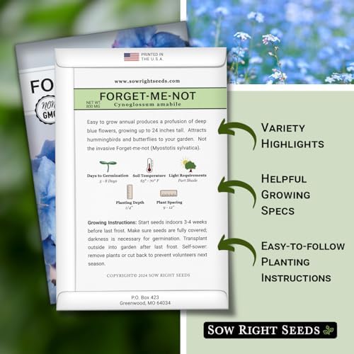 Sow Right Seeds - Forget-Me-Not Seeds for Planting - Non-GMO Heirloom Variety - Memorial for Celebration of Life - Grow Forget-Me-Not Flowers - Perfect for Gardens and Special Occasions (1)