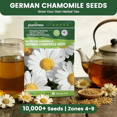 German Chamomile Seeds for Planting - 10,000+ Heirloom Seeds (Matricaria chamomilla), Homegrown Herbal Tea, Attracts Pollinators, Self-Seeding, USDA Zones 4-9, Medicinal Herb