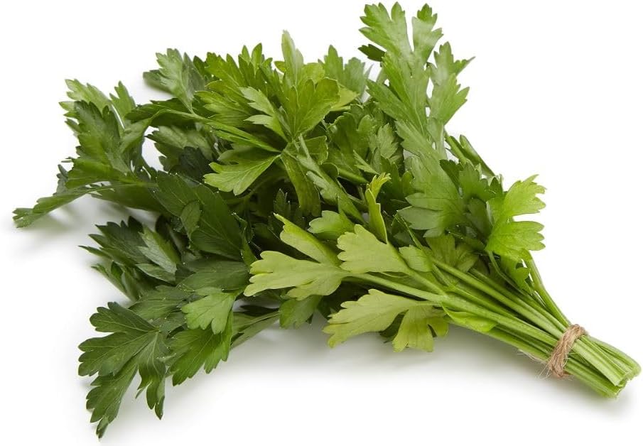 Amazon Grocery, Organic Italian Parsley, 0.5 Oz