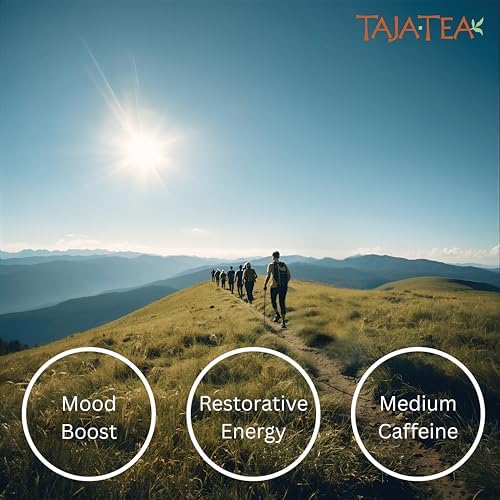 Taja Saffron Tea - Saffron & Mango Fusion Green Tea, Mood Boosting, Detox, Revive and Refresh Blend, Caffeinated | Gluten Free | Kosher, 20 Tea Bags