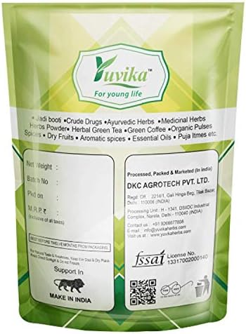YUVIKA Podina | Pudina Powder - Mentha Arvensis Linn - Mint Leaves (100 GM)