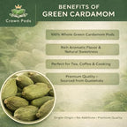 Guatemalan Green Cardamom – Premium Whole Pods 4oz