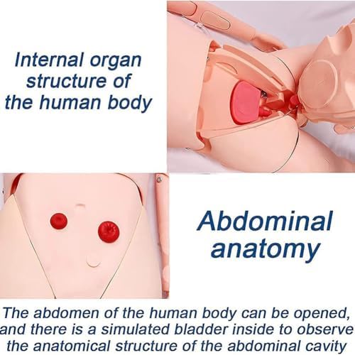 Professional Life Size Patient Care Manikin Training CPR Simulator Basic Nursing Skills Geriatric Human Model Mannequin Full Body for Students Education Teaching Medical Training Skills 170cm