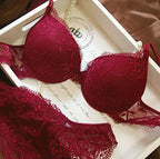 Nanier Women's Solid Lace Push up Bra Set