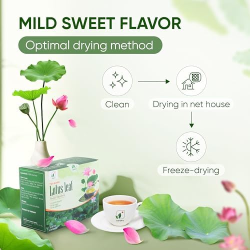 NMPT Dried Lotus Leaf Tea, 100% Hand Pick, Organic Herbal Tea, 50 Tea Bags, Gluten Free, Dairy Free, Sugar Free & 100% Natural, Energy Boost & Health Support