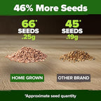 HOME GROWN San Marzano Tomato Seeds 66+ Heirloom Non-GMO Seeds for Planting, High Germination, Indeterminate, Classic Meaty Italian Paste Tomato, Best for Sauce & Canning (Solanum lycopersicum)