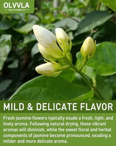 Olvvla - Dried Jasmine Flowers - 3oz/85g - 100% Natural Jasmine Tea Edible Flowers - Pure Jasmine Buds Loose Leaf Herbs - Non-GMO - Natural Fragrance