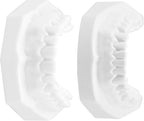 Standard Tooth Model with Extractable Teeth and Soft Gum for Adult Dental Teaching and Flossing Practice for Study and Professional Education