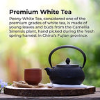 Prince of Peace Organic White Tea - 100 Tea Bags, 2 pack