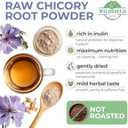 30 Bags Tea Chicory Root Tea Herbal (Cichorium Intybus) - 30 Count 1.5g Bags Chicory Root Herb Achicoria