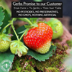 Gerbs Summer Sweet Strawberries 4 lb. | Dehydrated, Unsulfured, Resealable Bag | Naturally Sweet & Tart | Top 14 Allergen-Free