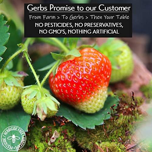 Gerbs Summer Sweet Strawberries 4 lb. | Dehydrated, Unsulfured, Resealable Bag | Naturally Sweet & Tart | Top 14 Allergen-Free