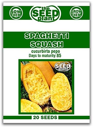 Spaghetti Squash Seeds 20 Seeds Non-GMO