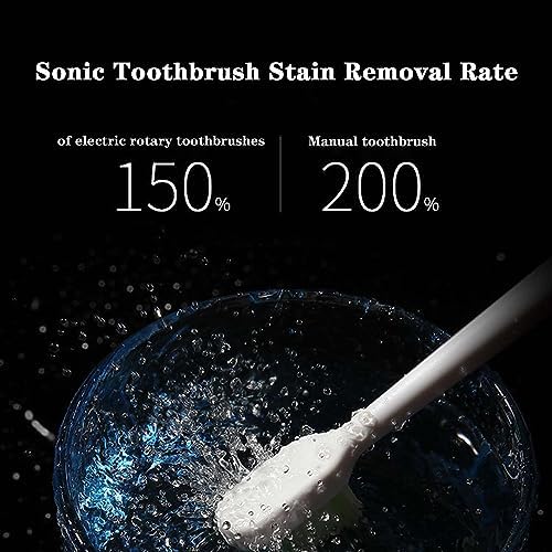 Sonic Electric Toothbrush,90-Day Life, 37,200 Vibrations/Minute, 5 Modes, 2-Minute Timer, 4 Replaceable Brush Heads, White/Black/Blue/Pink (Pink)