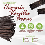 50 Organic Grade A Madagascar Vanilla Beans. Certified USDA Organic for Extract and All Things Vanilla. ~5" by FITNCLEAN VANILLA. Bulk Fresh NON-GMO Pods.