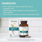 Himalaya Dandelion - Dandelion Root Supplement Supporting Daily Wellness and Health - Vegan, Gluten Free, 1000 mg, 60 Capsules