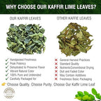 Premium Dried Kaffir Lime Leaves - 1 oz (28.5g) Pack for Authentic Thai Flavor - Handpicked for Freshness and Intense Aroma (A)