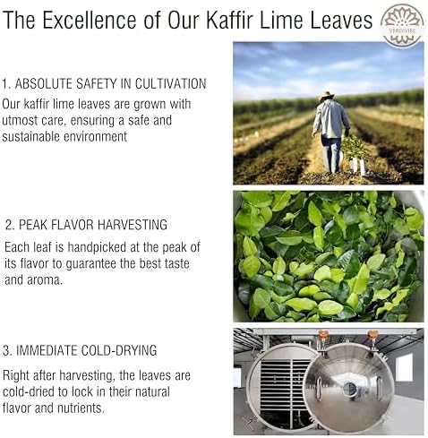 Premium Dried Kaffir Lime Leaves - 0.51 oz (14.5g) Pack for Authentic Thai Flavor (D)