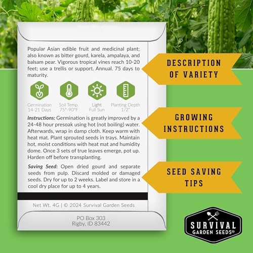 Bitter Melon Seeds for Planting – Bitter Gourd Karela Ampalaya, Non-GMO Heirloom Vegetable Seed Variety – Survival Garden Seeds (1 Pack)