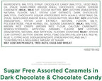 RUSSELL STOVER Sugar Free Assorted Caramels in Chocolate Candy, 15.3 oz. bag