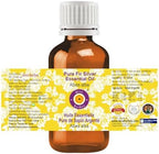 Deve Herbes Pure Fir Silver Essential Oil (Abies alba) Steam Distilled 15ml (0.50 oz)