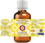 Deve Herbes Pure Rosemary Essential Oil (Rosmarinus officinalis) Steam Distilled (Pack of Three) 100ml X 3 (10 oz)