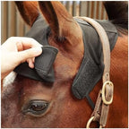 Back on Track Halter