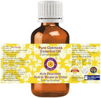 Deve Herbes Pure Oakmoss Essential Oil (Evernia prunastri) Steam Distilled (Pack of Five) 100ml X 5 (16.9 oz)