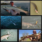 Delong Lures 8" Jerk KILR EEL Fishing Lures & Baits, Saltwater and Freshwater Fishing Lures, Jerkbaits for Largemouth Bass, Musky & Pike, Soft Plastic Baits Ideal for Pond, Creek & Lake - Made in USA
