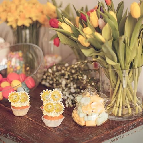 Rsstarxi 60 Pack Edible Sun Cupcake Toppers Sunshine Party Decorations Sun Flower Smiley Sunshine Cupcake Picks for Summer Theme Baby Shower Birthday Party Cake Decorations Favors