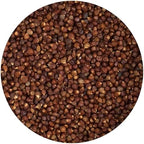 Grains of Paradise, 1 Ounce Tin, Hampton Distribution