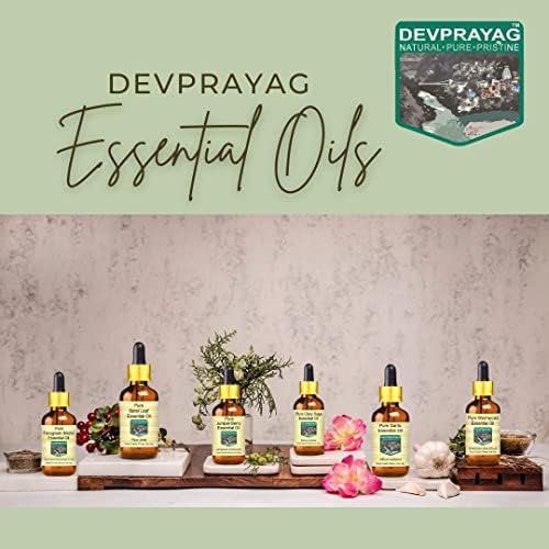 Pure Cardamom Essential Oil (Elettaria cardamomum) with Glass Dropper Steam Distilled 100ml (3.38 oz)
