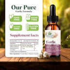Amazing Botanicals Garlic Tincture – Allium Sativum Herbal Extract – High Potency Liquid Supplement – (1oz)