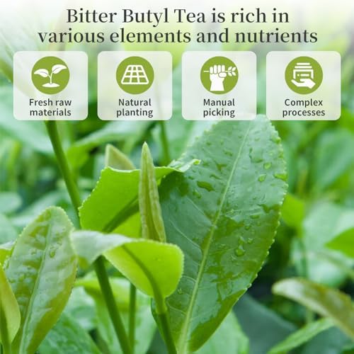 DOZO Needle Kuding Tea Ku Ding Bitter Green Tea 240g /8.46oz 100% Natural Wild Kuding Cha Herbal Tea Large Leaf Caffeine Free, No Additives 苦丁茶 大叶苦丁