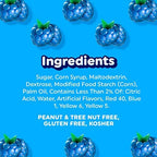 Airheads Full-Size Candy Bars, Taffy Candy Bulk Pack, Individually Wrapped, Blue Raspberry Fruit Flavor Artificially Flavored, 36 Count Box