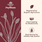 ORGANIC INDIA Psyllium Husk Capsules - Fiber Supplement, Healthy Elimination - Vegan, Keto Friendly, Gluten-Free, USDA Certified Organic, Non-GMO, Soluble & Insoluble Fiber Source - 180 Count
