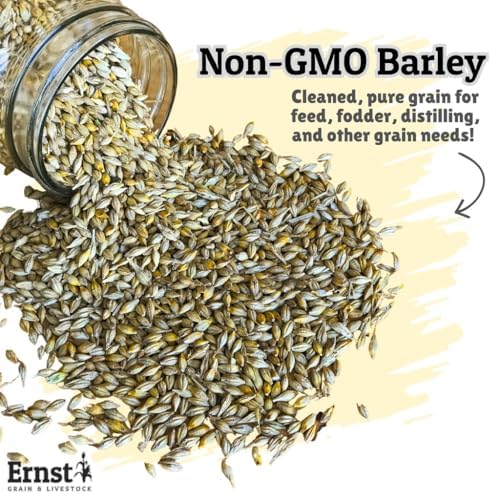 Ernst Grain & Livestock Non‑GMO Whole Barley Seeds & Feeds – Premium Feed‑Grade Grain for Livestock, Poultry & Small Animals – Pure, Unprocessed, Nutrient‑Rich (46 Pound (Pack of 1))