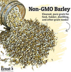 Ernst Grain & Livestock Non‑GMO Whole Barley Seeds & Feeds – Premium Feed‑Grade Grain for Livestock, Poultry & Small Animals – Pure, Unprocessed, Nutrient‑Rich (46 Pound (Pack of 1))
