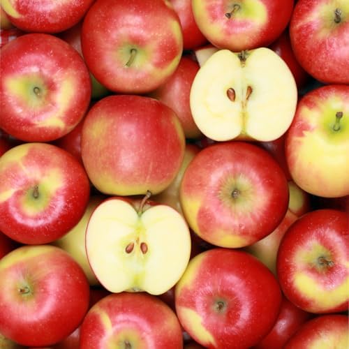 Capital City Fruit Deluxe Tropical Fruit Gift Box