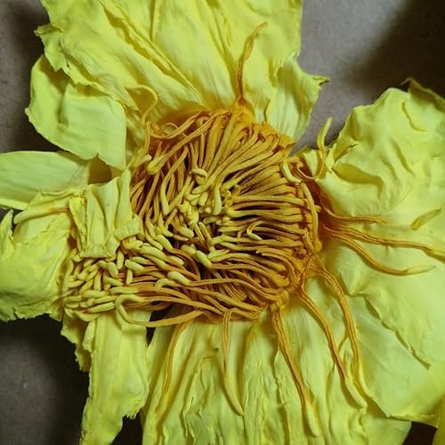 Premium Perfume Lotus Dried Natural Flowers Tea Whole Flower | Non GMO, Caffeine-free | 1oz(28g)