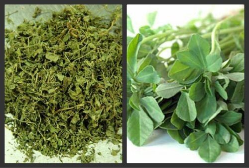 50g | DRIED FENUGREEK LEAVES DRY FENUGREEK LEAF METHI KASTOO...