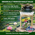 Plantabbs Clear-Water Barley Straw Bales, Pond logs 8oz Treats 1000 gallons for 6 Months (1-Pack)