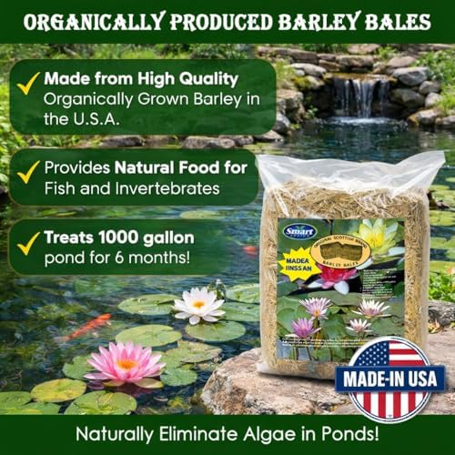 Plantabbs Clear-Water Barley Straw Bales, Pond logs 8oz Treats 1000 gallons for 6 Months (1-Pack)