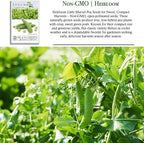 Little Marvel Pea Seeds (Pisum sativum) – 50+ Non-GMO Heirloom Seeds for Planting, Compact Bush Variety with Sweet Green Pods, by Isla’s Garden Seeds, Gift Idea for Home Gardeners