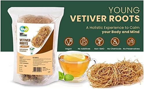 Vetiver Root/Dried Khus-Khus/Vetiveria Zizanioides (50 Grams), Young Roots Not Aged Matured Roots, Natural Herbal Coolant - Way4Organic (1 Pack)