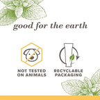 Burt's Bees Toothpaste, Natural Flavor, Fluoride-Free, Purely White, Zen Peppermint, 4.7 oz, Pack of 3