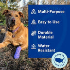 PetFlex No Chew – Flexible Self-Adhering Elastic Bandage for Wound Care – First Aid Wrap for Small Animals Like Dogs, Cats, and Other Pets - 2 inch, 2 Rolls