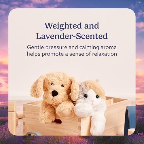 warmies Microwavable & Weighted Stuffed Animals, Golden Dog - Heated Stuffed Animal for Soothing Warmth - Weighted Plush for Calming Hugs - for Boys, Girls, Babies & Toddlers